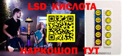 хмурый Кингисепп