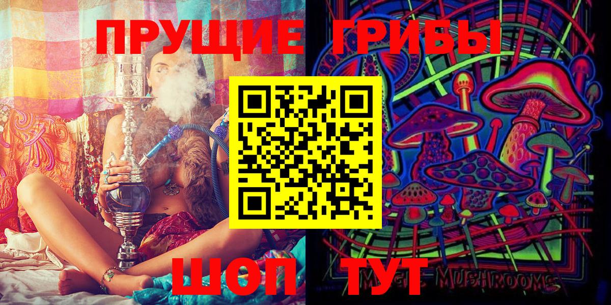 что такое наркотик  Псилоцибиновые грибы мицелий  Вход с VPN  Киселёвск 