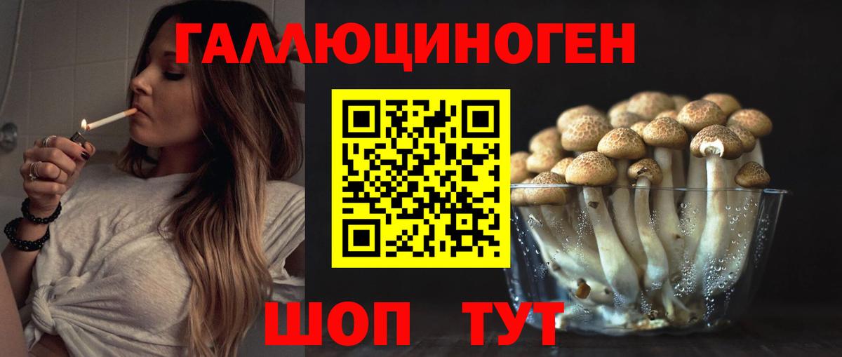 Псилоцибиновые грибы Psilocybine cubensis Киселёвск