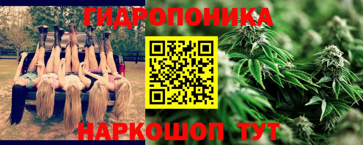 Киселёвск  Шишки марихуана MAZAR  Бошки марихуана SATIVA & INDICA  Вход с VPN  Бошки Шишки семена 